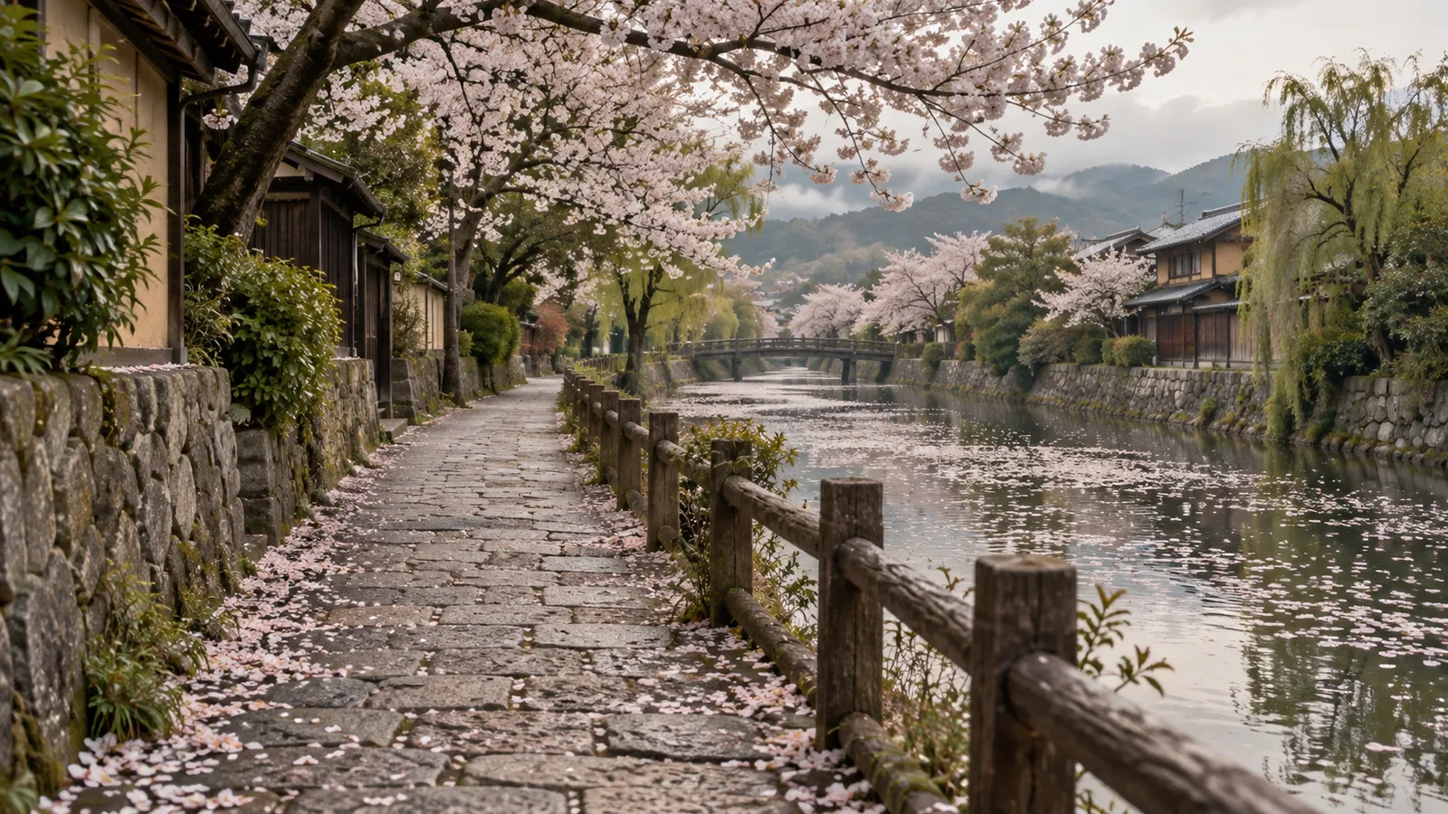 A narrow stone riverside walking path in Japan with cherry blossom petals scattered on the paving and floating on the water